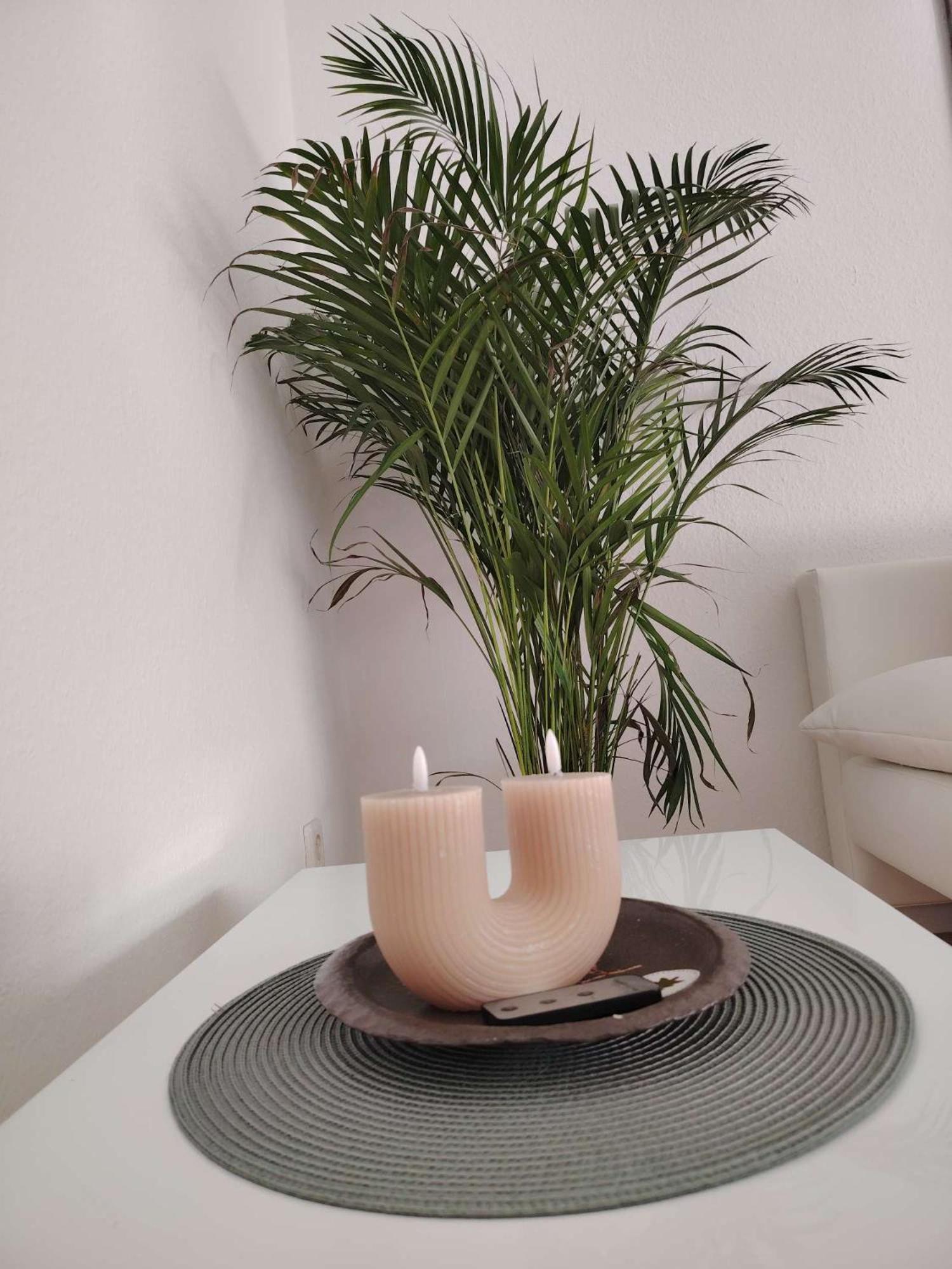 Koblenzliebe Rhein Ferienwohnung 3-Zimmer Garten Parking 코블렌츠 외부 사진